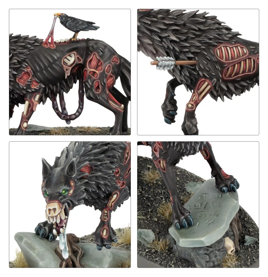 Warhammer Age of Sigmar: Soulblight Gravelords - Dire Wolves - Image 3