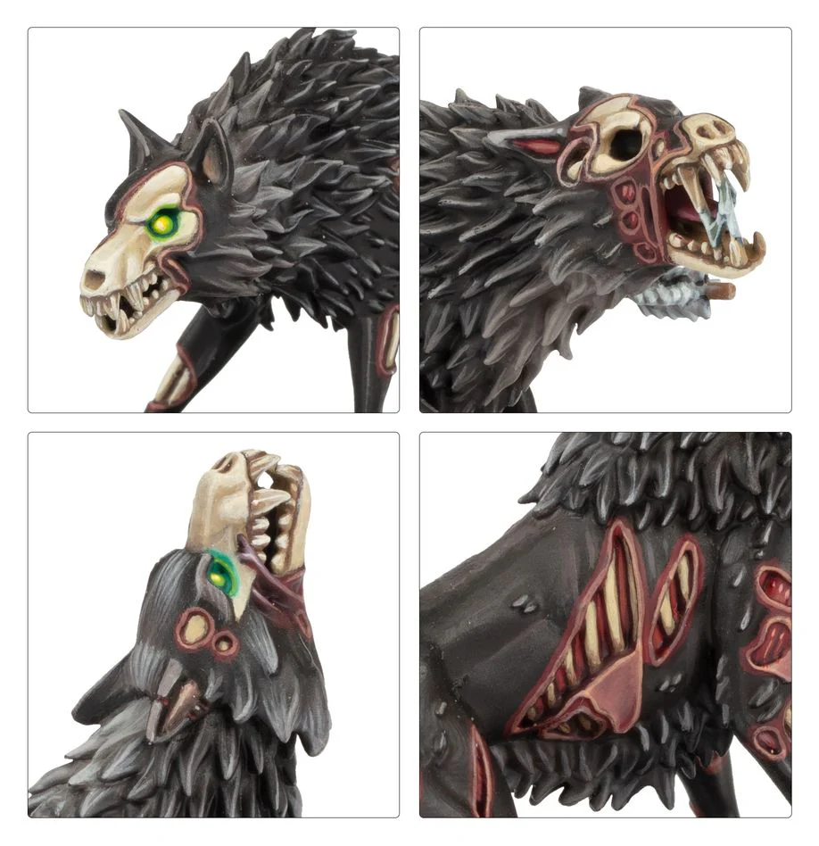 Warhammer Age of Sigmar: Soulblight Gravelords - Dire Wolves - Image 4