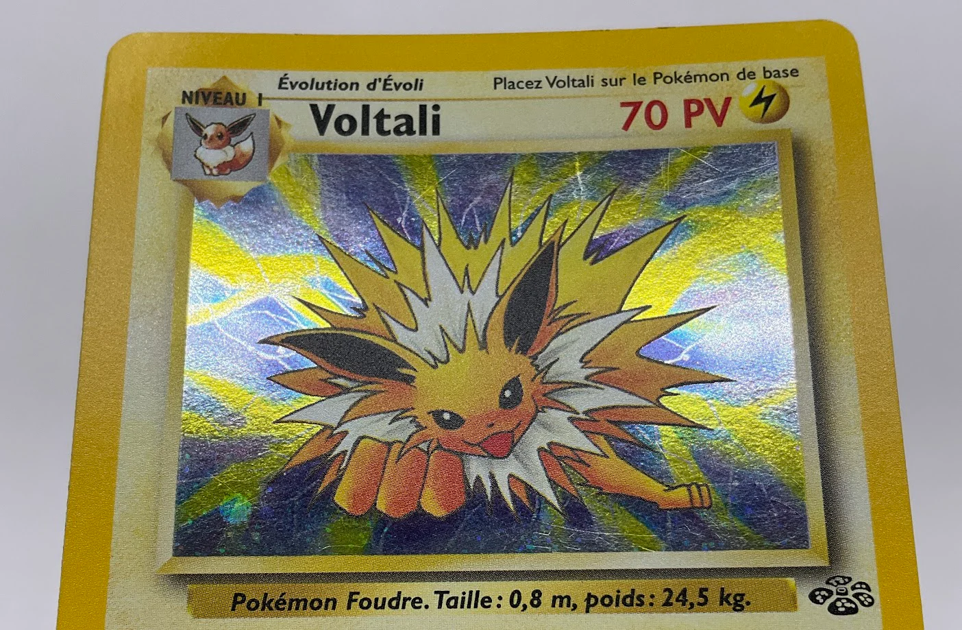Jolteon Pokemon Jungle Holo French #4 - Image 3