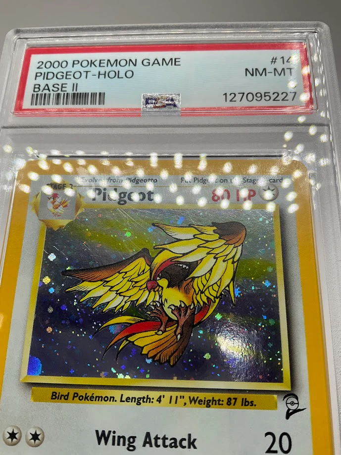 Pidgeot Pokemon Base Set 2 Holo #14 PSA 8 - Image 3