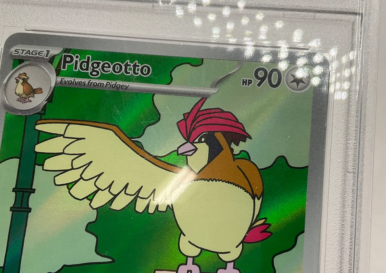 Pidgeotto Pokemon Obsidian Flames Illustration Rare #208 PSA 8 - Image 3