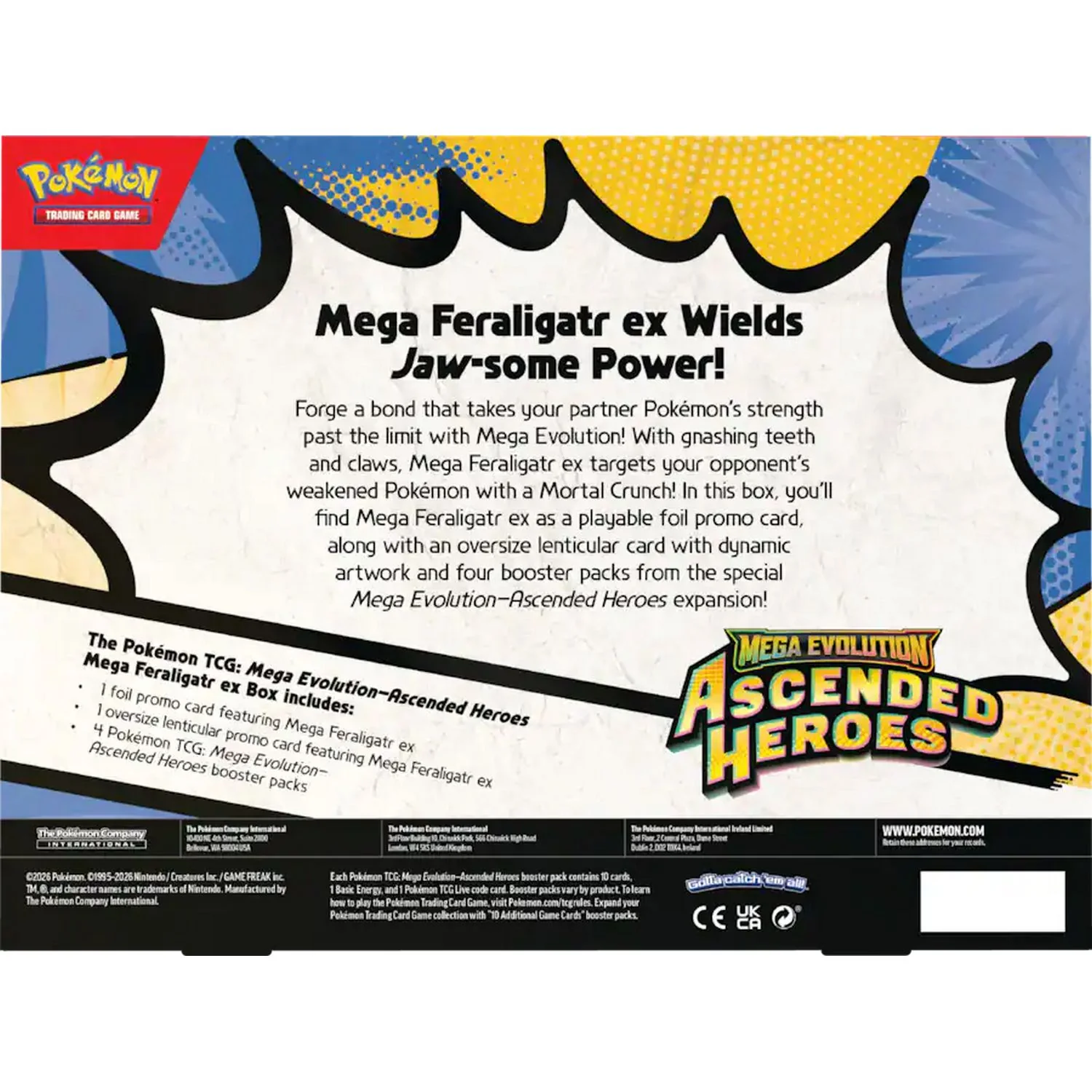 Pokemon: Mega Evolution Ascended Heroes Mega EX Box (Random) - Image 7