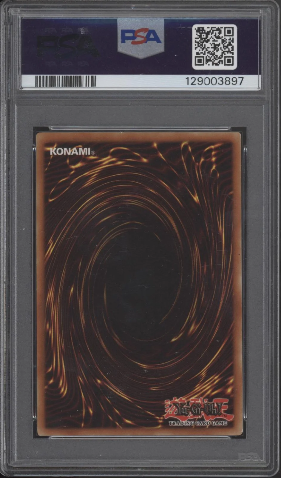 Red-Eyes Black Dragon Yu-Gi-Oh! BPT Collector's Tin Promo #005 PSA 6 - Image 2